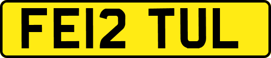FE12TUL