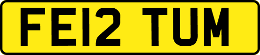 FE12TUM