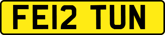 FE12TUN