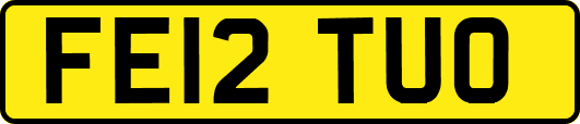 FE12TUO