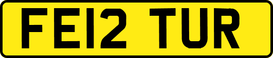 FE12TUR