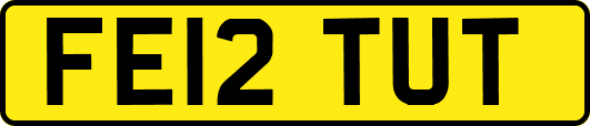 FE12TUT