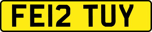 FE12TUY