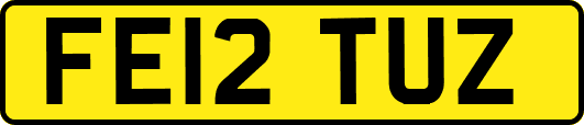 FE12TUZ