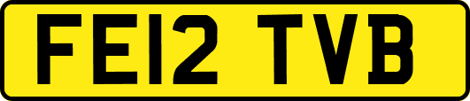 FE12TVB