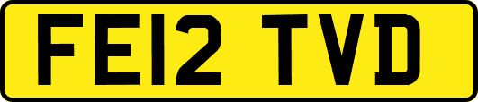 FE12TVD