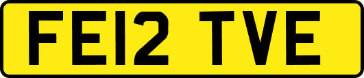 FE12TVE