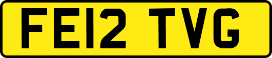FE12TVG