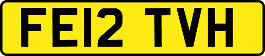 FE12TVH