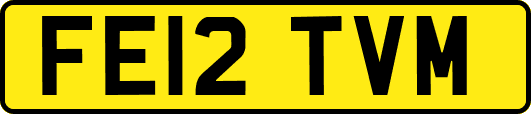 FE12TVM
