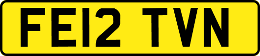 FE12TVN