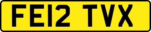 FE12TVX