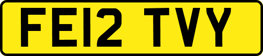 FE12TVY