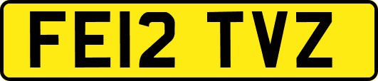 FE12TVZ
