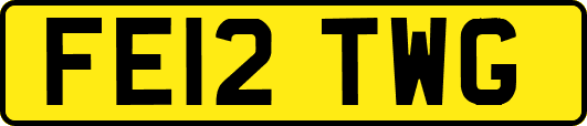 FE12TWG