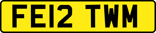 FE12TWM