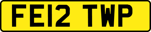 FE12TWP