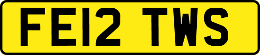 FE12TWS