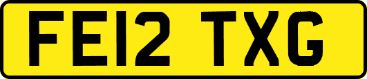 FE12TXG