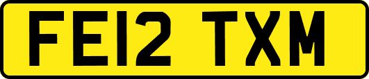 FE12TXM