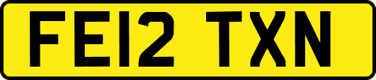 FE12TXN
