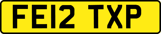 FE12TXP
