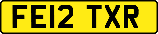 FE12TXR