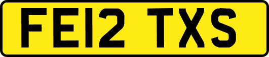 FE12TXS