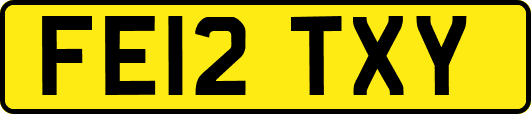 FE12TXY