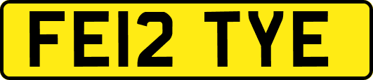 FE12TYE