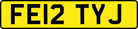 FE12TYJ