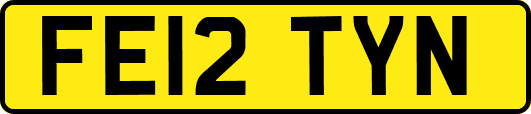 FE12TYN