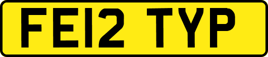 FE12TYP