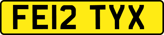 FE12TYX