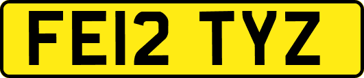 FE12TYZ