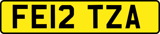 FE12TZA