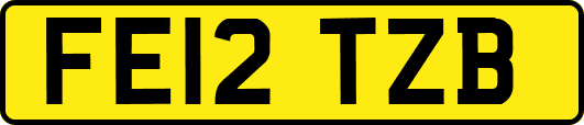 FE12TZB