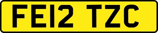 FE12TZC