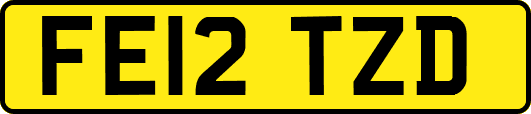 FE12TZD