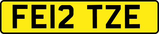 FE12TZE