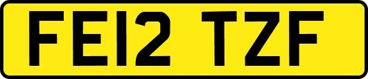 FE12TZF