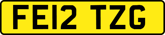 FE12TZG