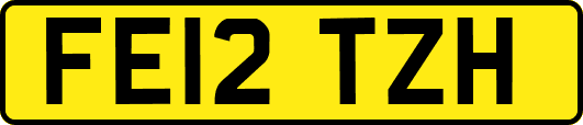 FE12TZH
