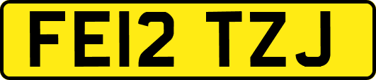 FE12TZJ