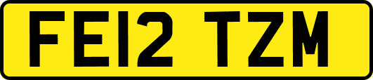 FE12TZM