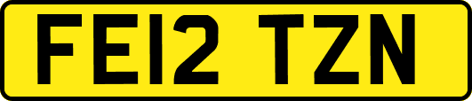 FE12TZN