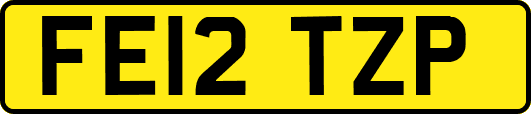 FE12TZP