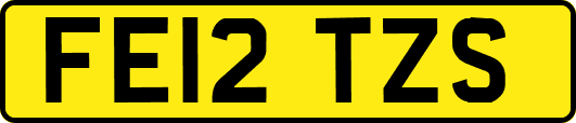 FE12TZS