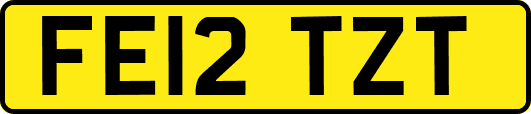 FE12TZT