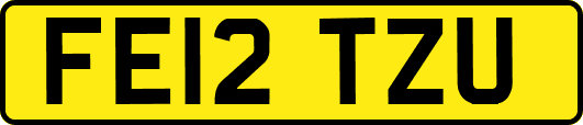FE12TZU